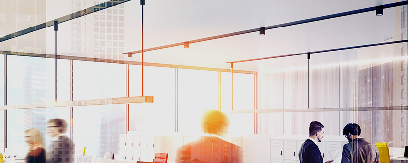 Bild - Lianeo Real Estate GmbH