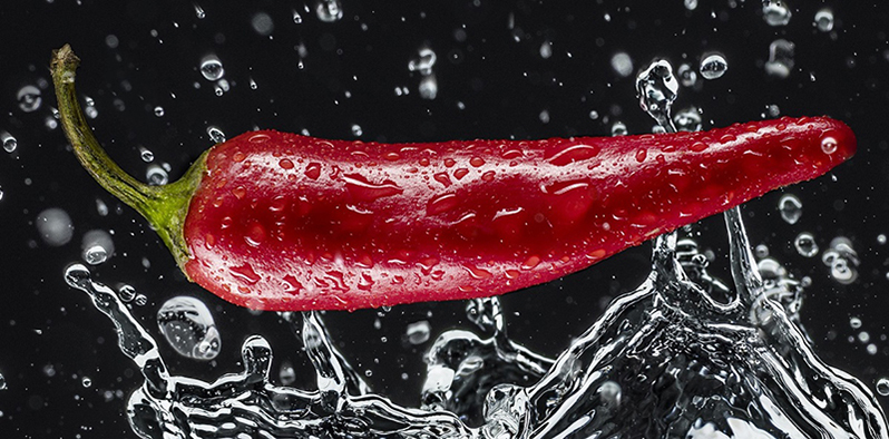 logo  - chili-personal