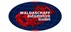 Waldaschaff Automotive GmbH Waldaschaff Automotive GmbH