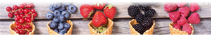 Foto - Frutania GmbH