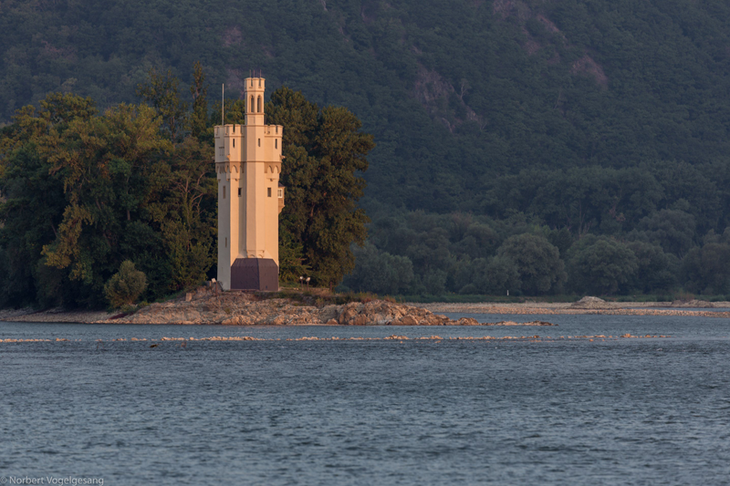 Binger Mäuseturm - Das Wahrzeichen der Stadt Bingen - Quelle: Norbert Vogelgesang