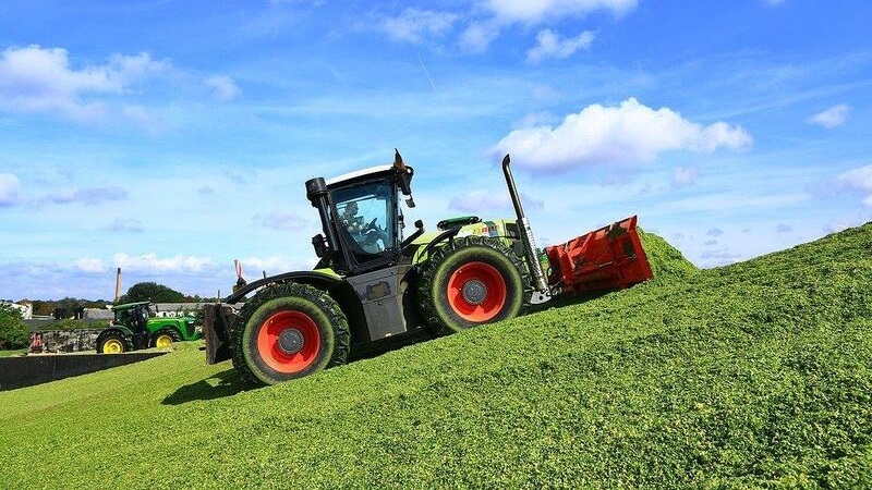 Traktor schiebt Gras
