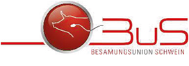 Besamungsunion Schwein (BuS)