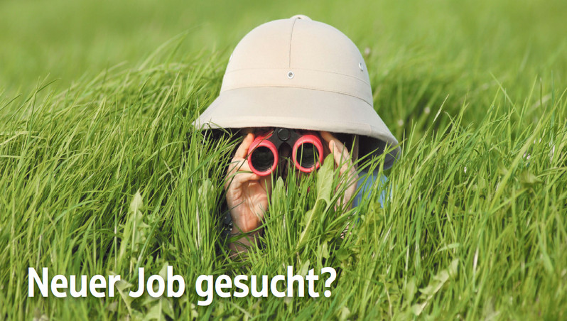 Neuer Job gesucht?