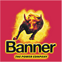 Banner The Power Company