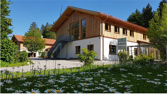 Haus