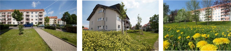 Drei Wohnungsgenossenschaften mit verschieden Campussen der Firma Freitaler Wohnungsgenossenschaft eG