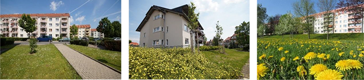 Drei Wohnungsgenossenschaften mit verschieden Campussen der Firma Freitaler Wohnungsgenossenschaft eG