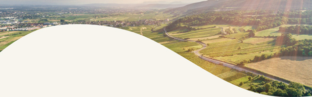 Mowein GmbH