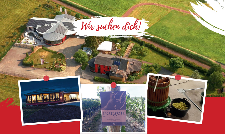 Wir suchen dich!