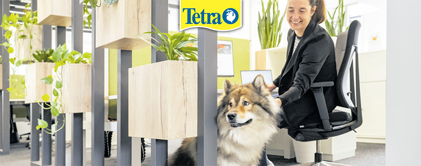Tetra - Junge Frau mit ihrem Hund im modernen Büro