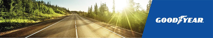 Goodyear Germany GmbH