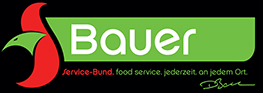 Bauer GmbH & Co. KG