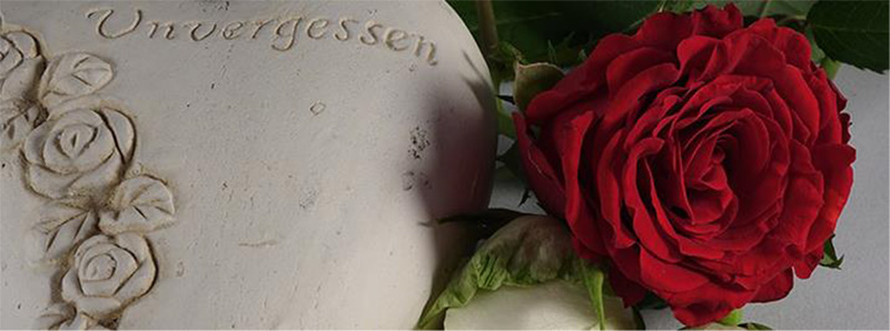 Rote Rose - unvergessen