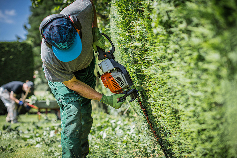 Der Mann trimmt gerade den Baum