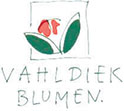 Vahldiek AG