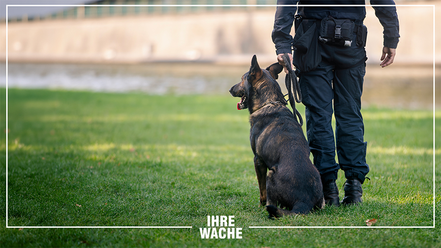 Sicherheitsdienstmitarbeiter - Hund