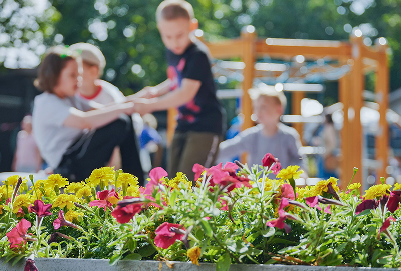 Kinder spielen unscharf im Hintergrund hinter bunten Blumen im Vordergrund