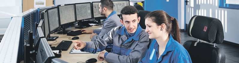 Meister der elektrischen Instandhaltung