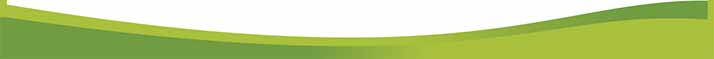 Grüne Linie