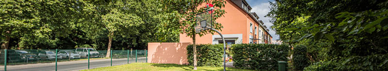 Basketballkorb auf einer Wiese vor Wohnhaus