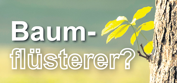 Baumflüsterer?