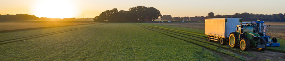Field