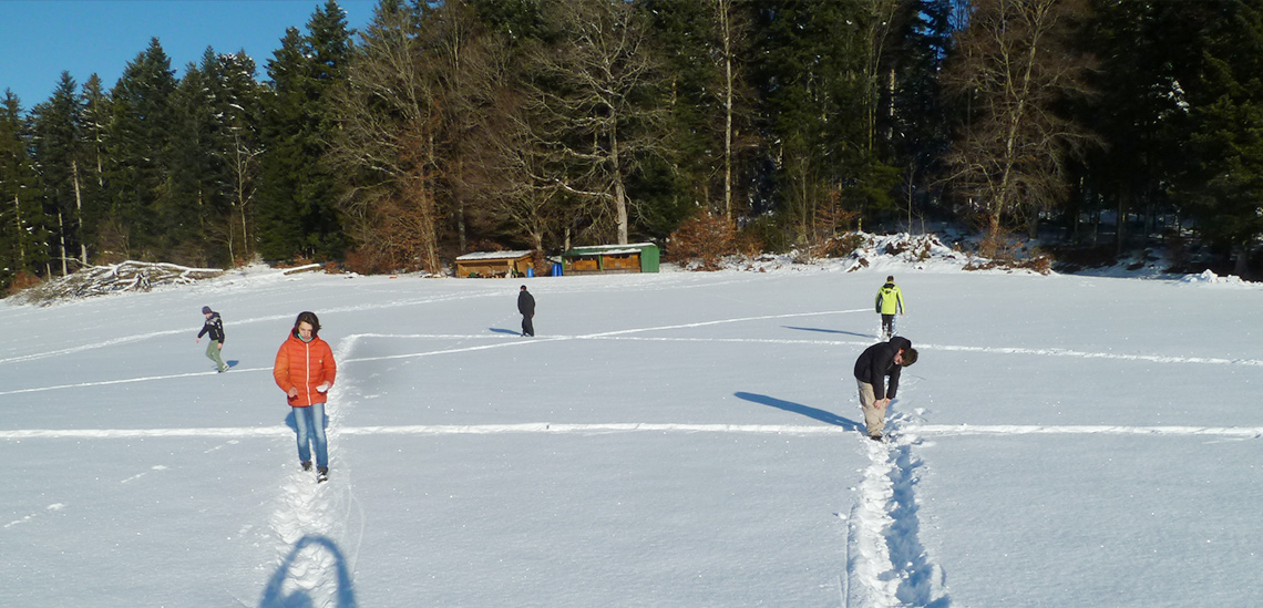 Headerbild 