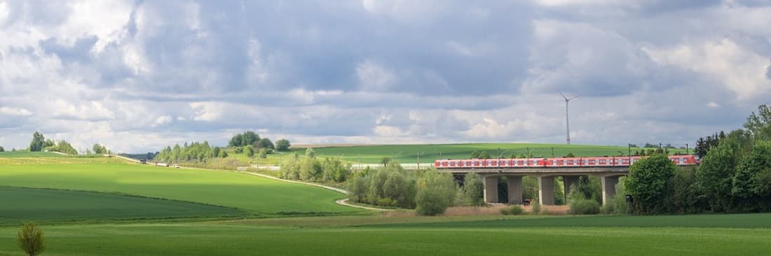 Grasbewachsenes Feld