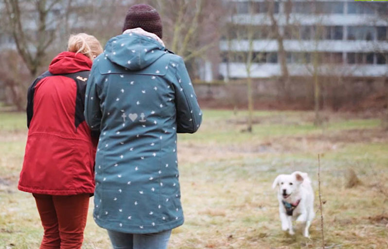 Zwei Erwachsene spielen mit einem Hund