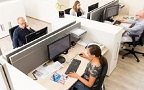 das Team im Büro