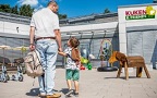 Küken & Friends Kita Zugeschnitten