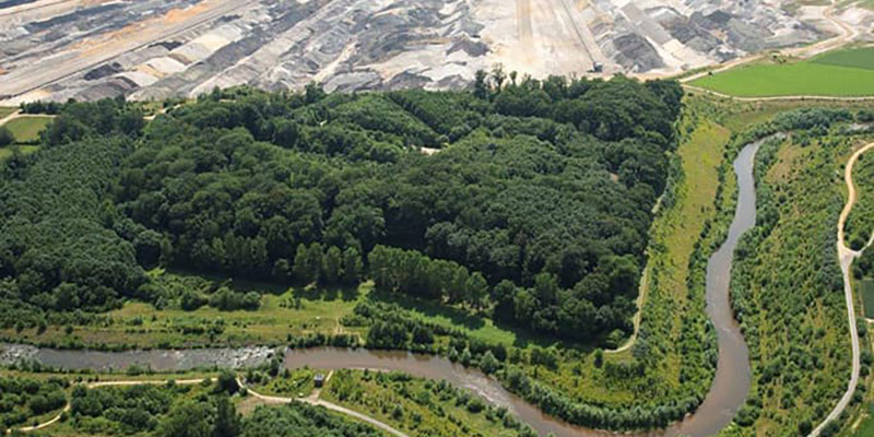 Waldpanorama