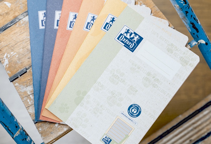 Farbige Mappen auf einer Leiter