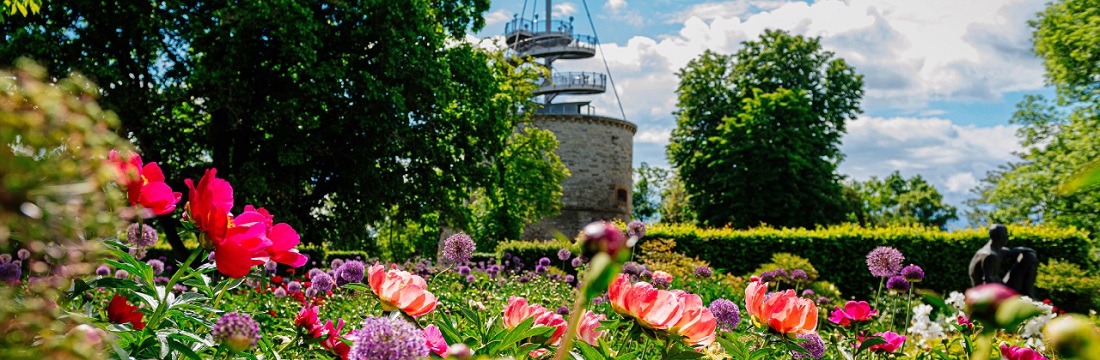Blumenbeet vor Aussichtsturm