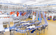 Fleischverarbeitungsfabrik