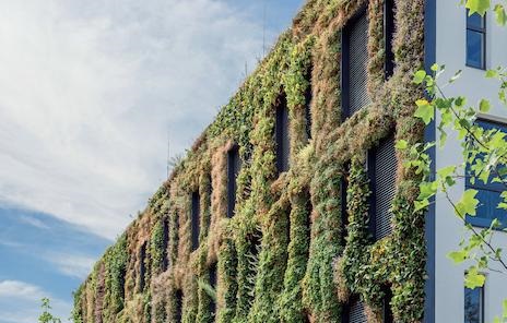Ökologische Gebäudefassade