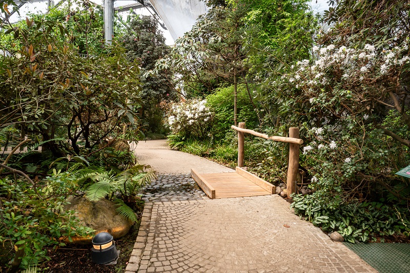 botanika - Innenraum