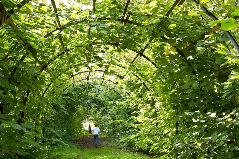 Die Kinder spielen im Garten