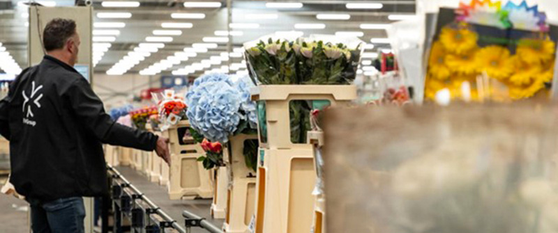 Mitarbeiter in einem Lager mit Blumen