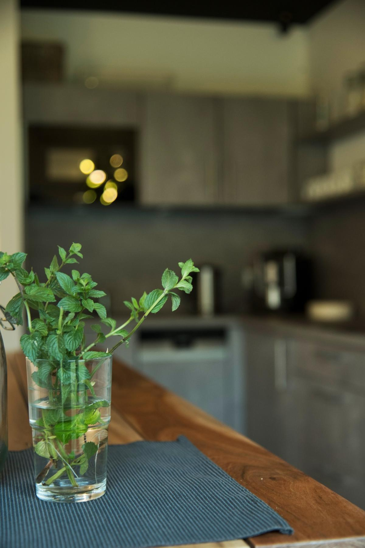 Minzstraußes in einem Wasserglas auf einem Holztisch, unscharfe graue Küche im Hintergrund
