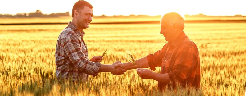 zwei Männer auf einem Feld