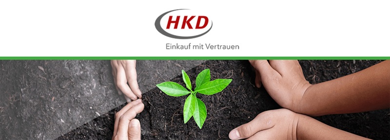 Hände schützen junge Pflanze