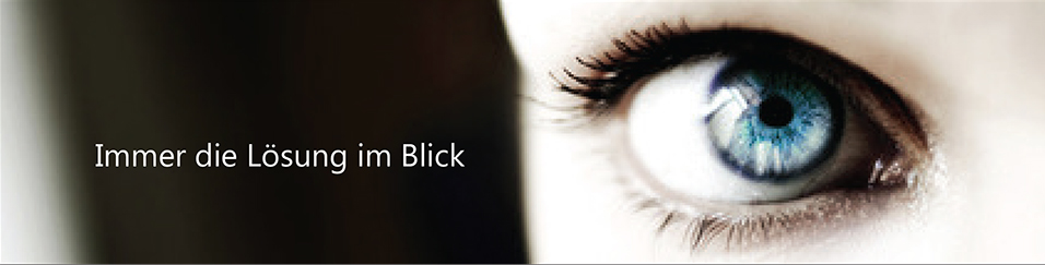 Immer die Lösung im Blick