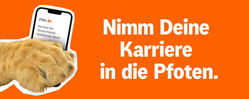 Nimm Deine Karriere in die Pfoten