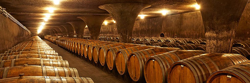 Weinkeller mit Holzfässern im Gewölbe