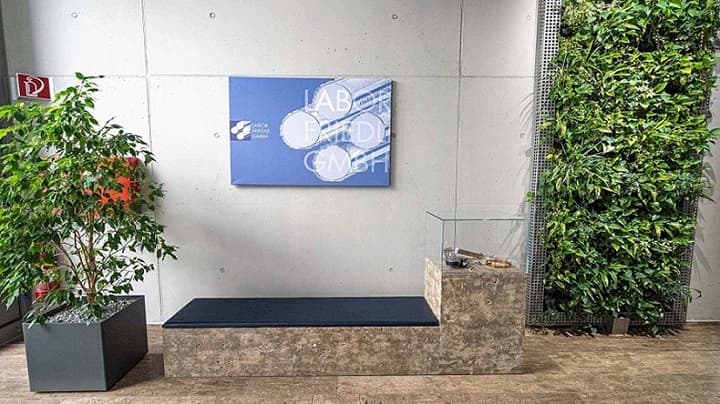 Wartezimmer mit Pflanzen