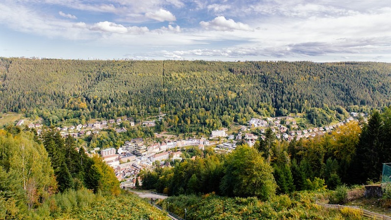 Blick Auf Die Stadt Wildbad