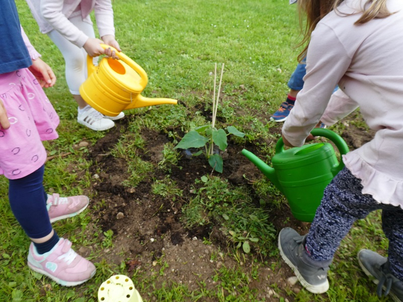 Menschen die Pflanzen gießen