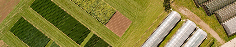 Luftansicht von Feldern und Gewächshäusern